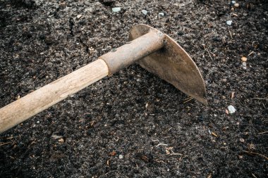 Yeryüzünde Çapa, yakın görünüm