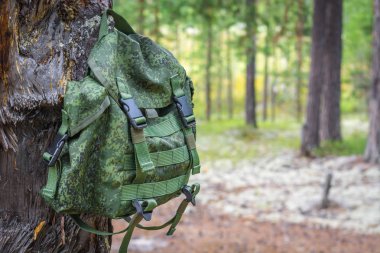 Dinlenme için Yeşil sırt çantası yaz aylarında kuru orman arka plan karşı yanmış yanmış ahşap kolu üzerinde asılı.