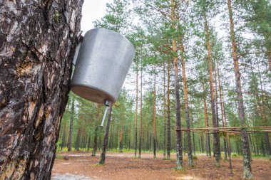 Ormanda ağaç üzerine kurulan el yıkama havzası.