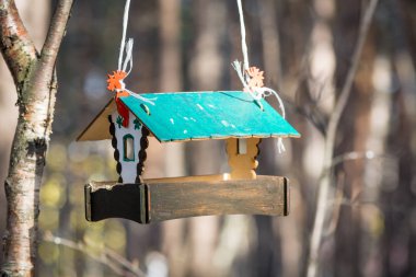 Ormanda kuşlar ve sincaplar için güzel besleyici.
