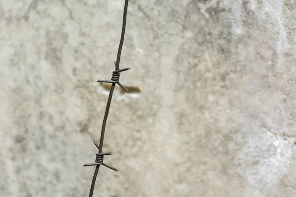 Close Barbed Wire — Stock Photo, Image
