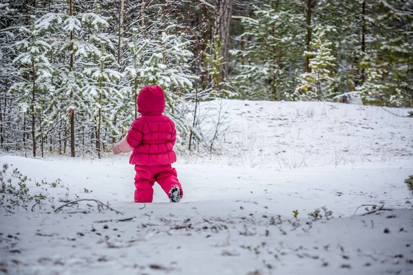 子供は冬の森の中を歩いて — ストック写真