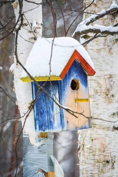 Mooie Feeder Voor Vogels Eekhoorns Opknoping Boom Winter Bos — Stockfoto