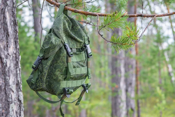 他看到卡其背包在夏季森林的薄松枝上徒步旅行. — 图库照片