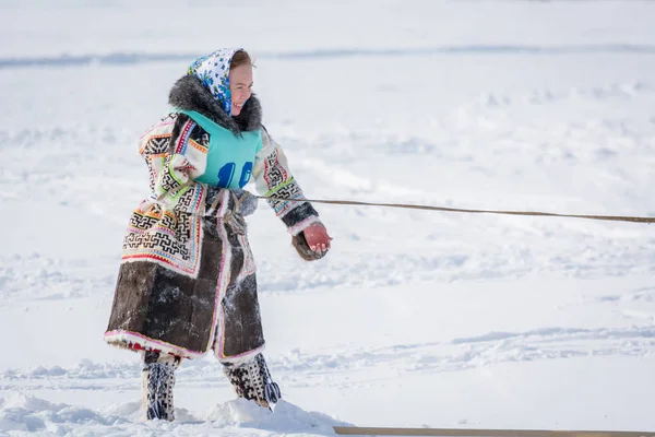 Русскинская, Россия - 24 марта 2018 года: Ханты-женщина в рубашке с номером и национальной хантинской одеждой, стоящая на снегу и тянет к себе веревку оленя. Соревнования по верховой езде на оленях. Праздник — стоковое фото