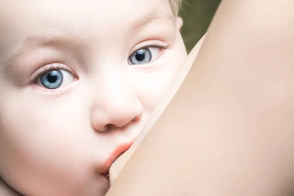 Bebé lindo está comendo leite materno de sua mãe — Fotografia de Stock