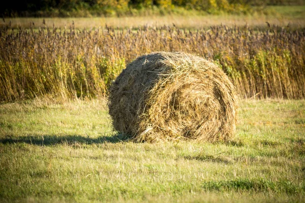 Vacker Höstack Ett Fält Byn — Stockfoto