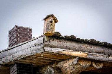 Kuşlar ve sincaplar için ahşap besleyici