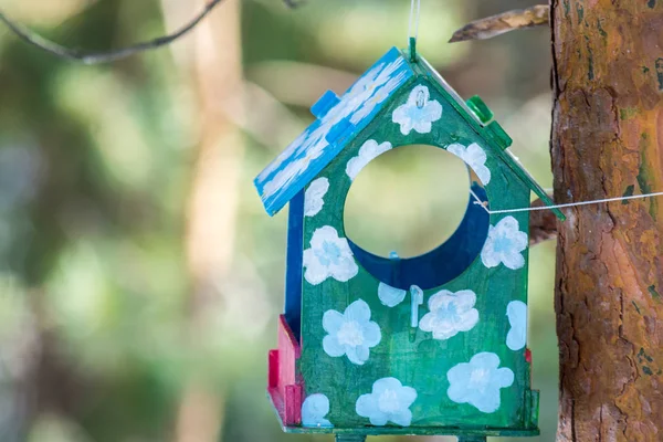 Conische toevoer goot van groene kleur voor het voederen van vogels en eekhoorns geschorst op Pine Tree in de lente ochtend. — Stockfoto