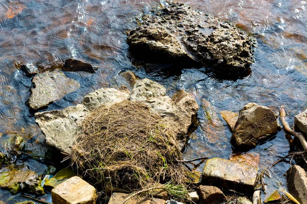 Říční Kameny Vodě — Stock fotografie