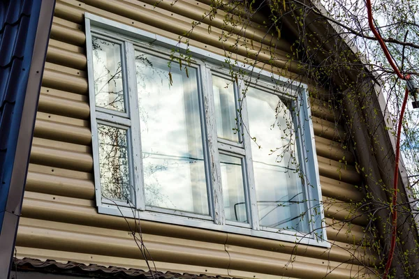 Beautiful window garden at home — Stock Photo, Image