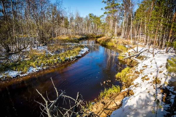 Fiume Flusso Invernale Foresta Trova Colpisce Rive Della Taiga Siberiana — Foto Stock
