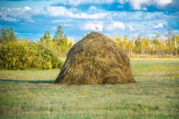 Vacker Höstack Ett Fält Byn — Stockfoto