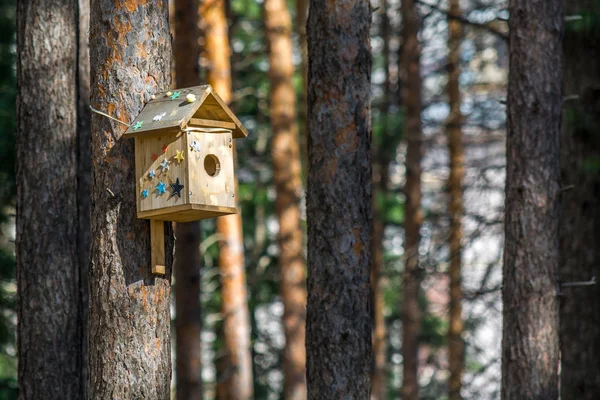 Bonito Alimentador Pássaros Pendurado Árvore Parque — Fotografia de Stock