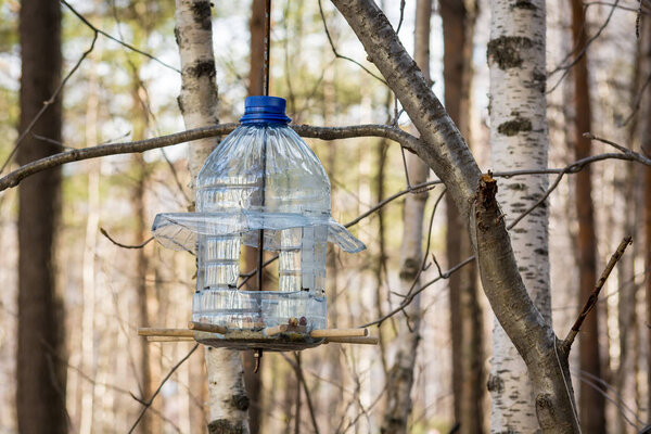 Beautiful wooden bird feeder in Park.