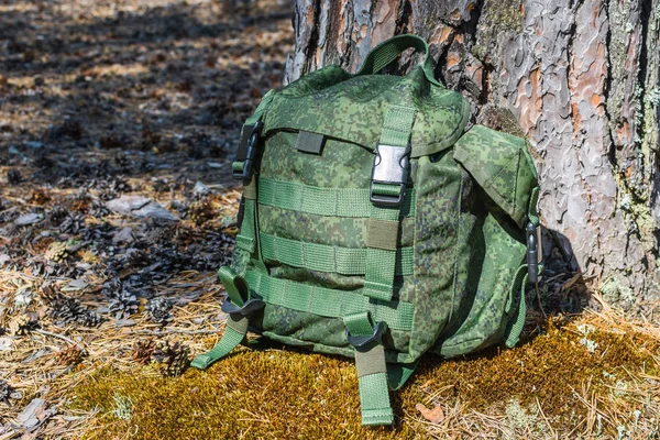Full green hiking backpack rests on edge of moss in pine summer forest near tree