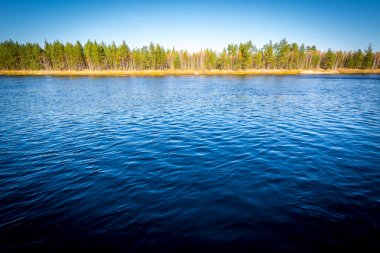 Orman Kış akışı nehir yatıyor ve Sibirya Taiga kıyılarında grev.