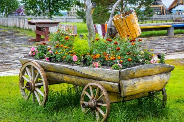 Eski sepeti üzerinde güzel çiçek tarhı