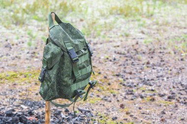 Yürüyüş için yeşil bir sırt çantası yaz aylarında orman kenarında ahşap sopa üzerinde kayış arkasında asılı.