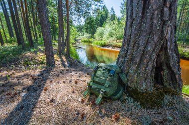 Küçük yeşil sırt çantası orman yaz nehri boyunca yüksek kıyısında koniler ve iğneler arasında yatıyor