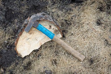 Bir çekiç ve çivi.