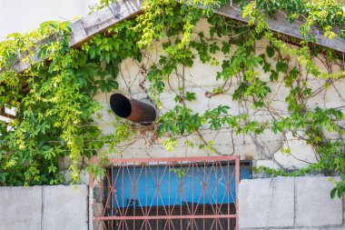 Oluk yağmurdan sonra su boşaltmak için evin çatısından dışarı yapışır