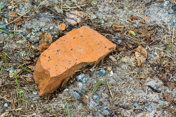 Ένα θραύσμα κόκκινου τούβλου — Φωτογραφία Αρχείου