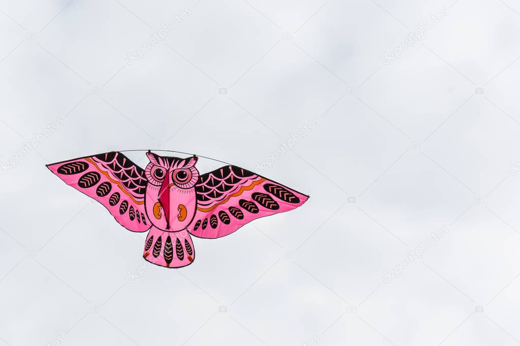 Big owl shaped kite soars in sky.