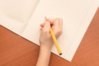 Bir liseli el defter bir kalem yazar.