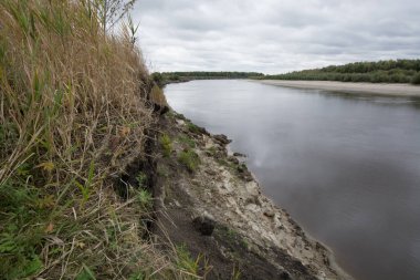 Sibirya 'da Taiga Nehri.