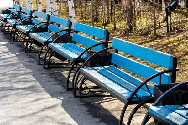 Ett Antal Vackra Blå Bänkar Parken — Stockfoto