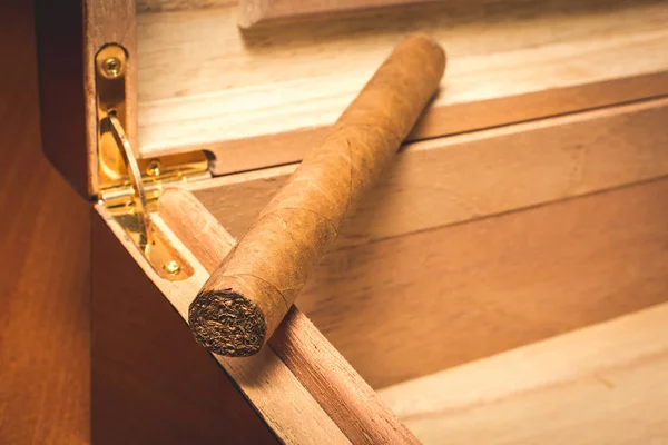 Hermoso Cigarro Cubano Humidor Español —  Fotos de Stock