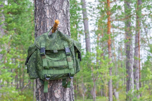 Sac à dos pour un podod est suspendu par poignée sur crochet en bois de tronc d'arbre dans la forêt de conifères . — Photo