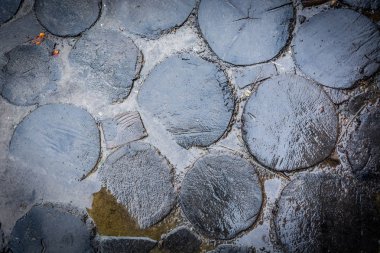 yuvarlak ahşap kütüklerin yakın çekim.