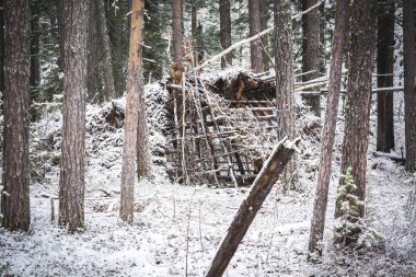 Kış ormanlarında Taiga ahşap kulübe.