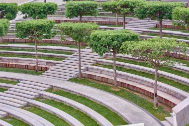 Güzel ağaçlar dinlenmek için parkta ahşap banklar yakınında büyümek