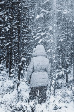 Kış parkta karlı bir ağaca sahip çocuk düşen kar.