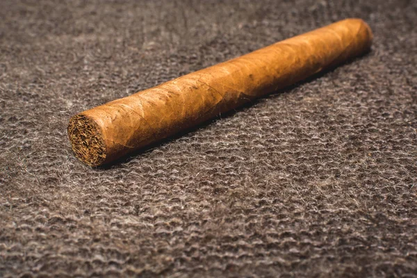 Vacker Kubansk Cigarr Ligger Sjalar — Stockfoto