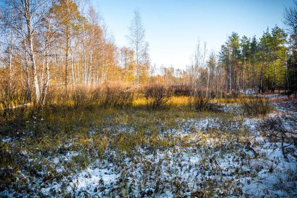 Fata foresta invernale — Foto Stock