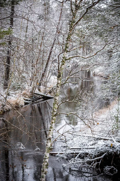 Rio Fluxo Inverno Floresta Encontra Atinge Margens Taiga Siberiana — Fotografia de Stock