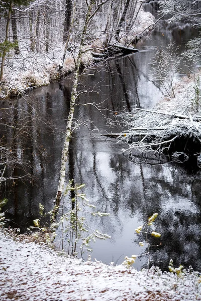 Der Waldwinterfluss Liegt Und Trifft Die Ufer Der Sibirischen Taiga — Stockfoto