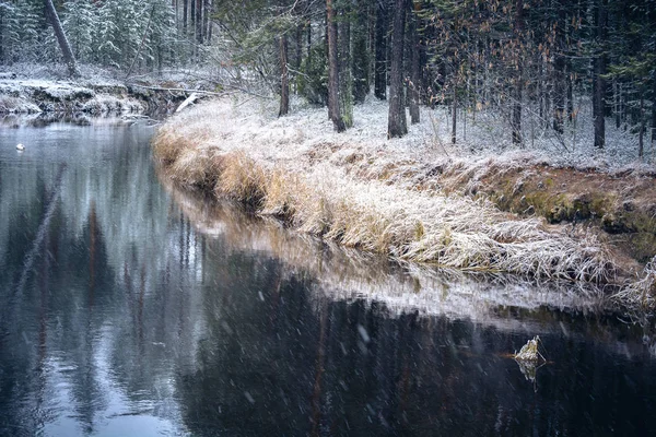 Der Waldwinterfluss Liegt Und Trifft Die Ufer Der Sibirischen Taiga — Stockfoto