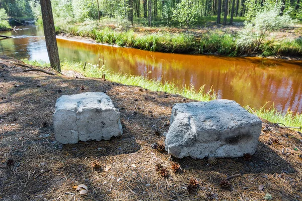 Два Бетонных Блока Берегу Красивой Тайги — стоковое фото