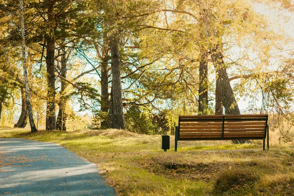 Wooden park bench with trees under rays of autumn sun. — 스톡 사진