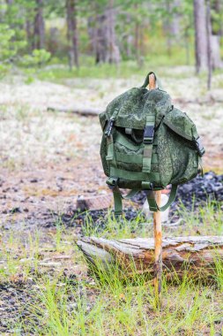 Küçük bir yeşil sırt çantası orman yangın için günlük ve yer arka plan karşı ince ahşap sopa asılı.