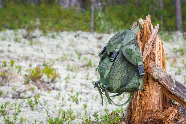 Petit sac à dos vert accroché à la souche cassée et pourrissante dans la forêt de pins d'été . — Photo
