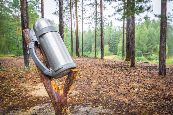 Verzegelde Camping Thermos voor warme thee of koffie hangt op houten stok en droogt in bossen na regen. — Stockfoto