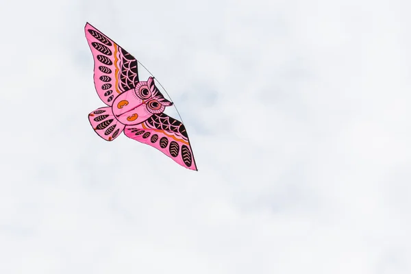 Beau cerf-volant en forme de hibou plane dans le ciel . — Photo