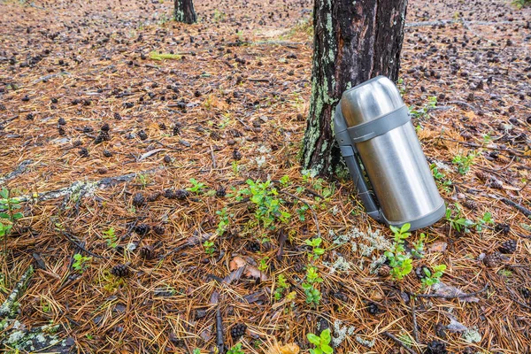 Λίτρο θερμό θερμός με λαβή για ζεστό τσάι ή καφέ στέκεται στο δάσος σε βελόνα όπως το έδαφος επόμενο δέντρο. — Φωτογραφία Αρχείου