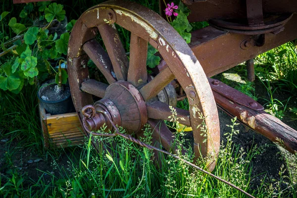 Vieille Roue Chariot Bois — Photo